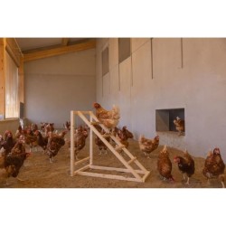Tour d'escalade pour poules - KERBL - 85 x 55 x 76 cm - Avec balançoire - Ech...