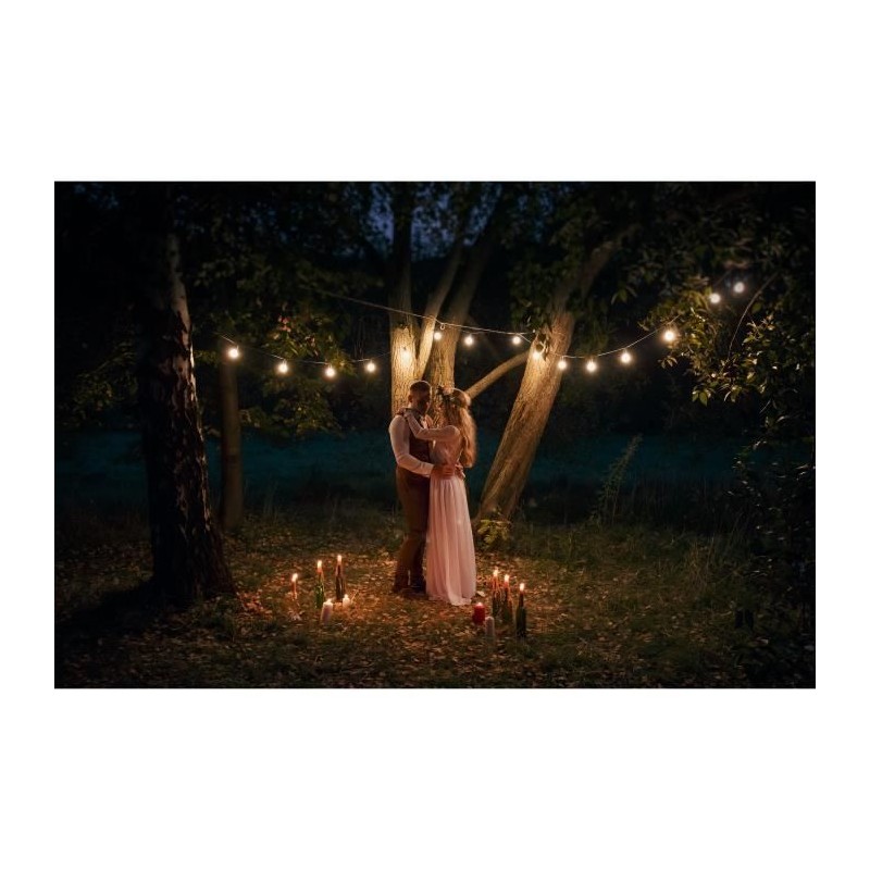 Guirlande lumineuse LED Link Me Light - 10 ampoules - douille E27 - blanc cha...