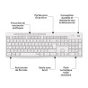 Ensemble Clavier Souris - Sans fil - Logitech - MK295 - AZERTY - Blanc