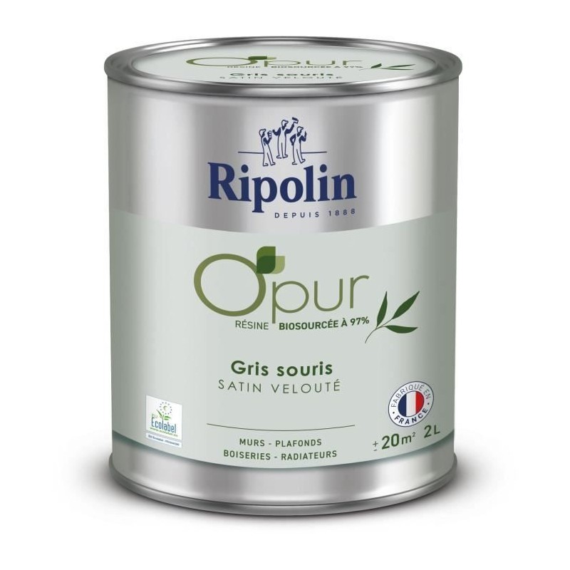 Peinture O'PUR murs, boiseries & radiateurs - RIPOLIN - 472827 - Gris souris ...