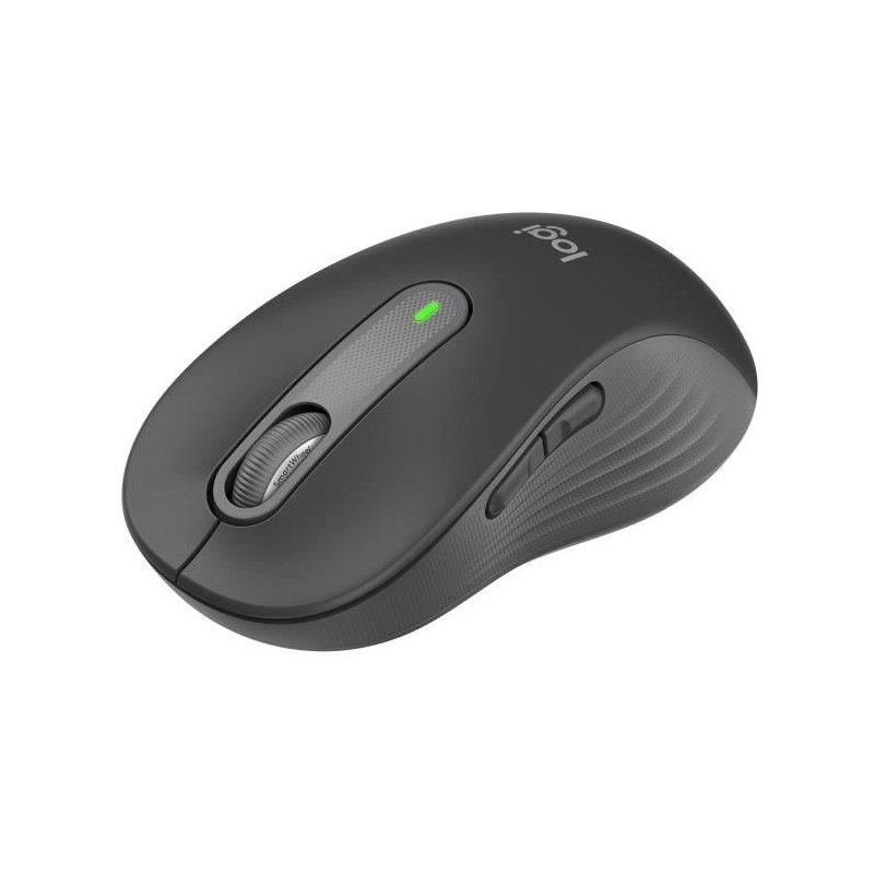 Souris - Sans fil - Logitech - Signature M650 L - Graphite - Droitier