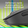 Souris - Sans fil - Logitech - Signature M650 L - Graphite - Droitier