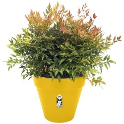 ELHO Pot de fleurs Rond LOFT URBAN - Ø50 x H44,5cm - Plastique - Percé - Rése...