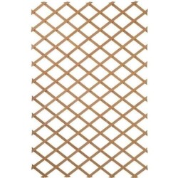 Treillis extensible en bois 100 x 200 cm Nature