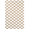Treillis extensible en bois 100 x 200 cm Nature