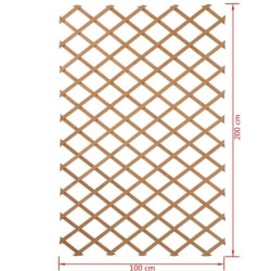Treillis extensible en bois 100 x 200 cm Nature