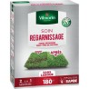 VILMORIN Semences pour soins et regarnissage universel de gazon - 2 en 1 - 3 kg