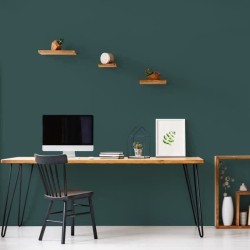 RIPOLIN Peinture Couleur Velours pour Murs, Boiseries Radiateurs - Vert Armerie