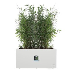ELHO Bac a fleurs Vivo Next Long 60 - L 59 x W 30 x H 29 cm - Intérieur,Extér...