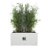 ELHO Bac a fleurs Vivo Next Long 60 - L 59 x W 30 x H 29 cm - Intérieur,Extér...