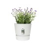 ELHO Pot de fleurs GREENVILLE - Ø 47 x H 44,1 cm - 100% recyclé - Blanc
