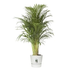 ELHO Pot de fleurs GREENVILLE - Ø 47 x H 44,1 cm - 100% recyclé - Blanc