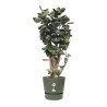 ELHO Pot de fleurs rond Greenville 47 - Extérieur - Ø 47 x H 44,1 cm - Vert f...