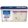 Peinture deco murs, boiseries & radiateurs - RIPOLIN - 441606 - Beige glaise ...