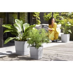 ELHO Pot de fleurs  Greensense Aqua Care Carré 38 - Ciment Clair - Intérieur/...