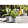 ELHO Pot de fleurs  Greensense Aqua Care Carré 38 - Ciment Clair - Intérieur/...