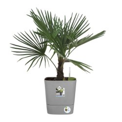 ELHO Pot de fleurs  Greensense Aqua Care Carré 38 - Ciment Clair - Intérieur/...