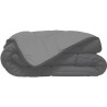 CALGARY - Couette Chaude Microfibre 400gr/m² - Gris & Argent - 240 x 260 cm