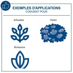 Taille-haies sans fil C-HT570-X - longueur de coupe de 51cm - SCHEPPACH 20V I...