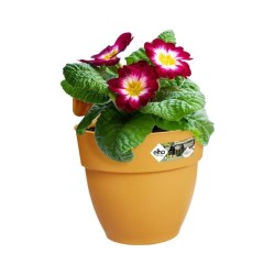 ELHO Pot de fleurs balcon Vibia Campana Easy Hanger Small - 24,1 x 20,5 x H26...