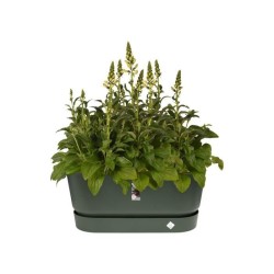 ELHO Jardiniere avec roues Greenville Terrasse 80 - L 35 x W 78 x H 33.5 cm- ...