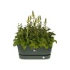 ELHO Jardiniere avec roues Greenville Terrasse 80 - L 35 x W 78 x H 33.5 cm- ...