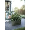 ELHO Jardiniere avec roues Greenville Terrasse 80 - L 35 x W 78 x H 33.5 cm- ...