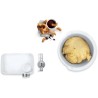 Accessoires Baking Sensation - BOSCH - MUZ5BS1 - Hachoir a viande -