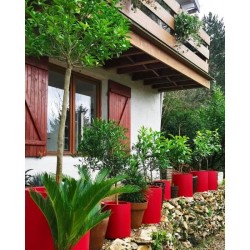 Pot de fleurs - RIVIERA - Granit rond - D49 x H53,5 cm - 57L - Rouge