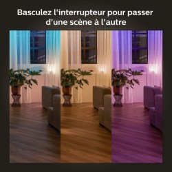 Module d'interrupteur mural - PHILIPS HUE - Pack de 2 - Blanc -