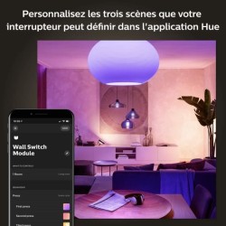 Module d'interrupteur mural - PHILIPS HUE - Pack de 2 - Blanc -