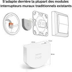 Module d'interrupteur mural - PHILIPS HUE - Pack de 2 - Blanc -