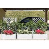 STEFANPLAST Bac a fleur/Jardiniere ITALIA rectangulaire avec treillis - 100x4...