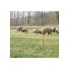 KERBL -  Filet pour moutons OviNet électrifiable - Longueur 50 m - Hauteur 90...