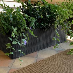 STEFANPLAST Bac a fleurs/Jardiniere rectangulaire NATURAL DELUX - 100x43xH33c...