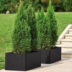 STEFANPLAST Bac a fleurs/Jardiniere rectangulaire NATURAL DELUX - 100x43xH33c...