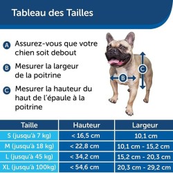 PetSafe - Chatiere Staywell Résistante en Aluminium pour gros Chien , avec Sy...