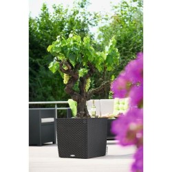 LECHUZA Pot de fleurs Cube cottage 50 - 50 x 50 x 50 cm - Kit complet - Grani...
