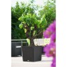 LECHUZA Pot de fleurs Cube cottage 50 - 50 x 50 x 50 cm - Kit complet - Grani...