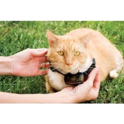 PetSafe - Collier supplémentaire pour clôture anti-fugu chat, 4 niveaux de st...