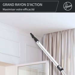 Aspirateur Traineau Sans Sac - HOOVER - HP320PET - 850 W - 2 L - 75