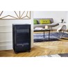 Favex Recommandé par Butagaz - Praha - 4200 Watts - Chauffage d'appoint gaz B...