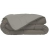 CALGARY - Couette Chaude Microfibre 400 gr/m² - Taupe & Lin - 140 x 200 cm