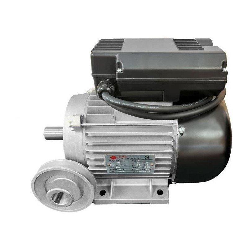 Moteur électrique 3CV/230V avec poulie - DOMAC