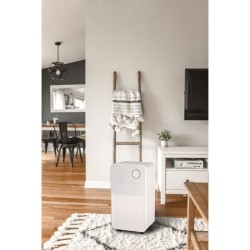 Déshumidificateur d'air électrique OCEANIC - Extraction 12 litres/jour - Fonc...