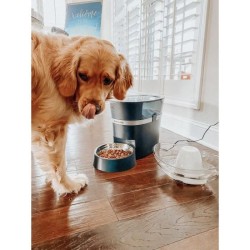 PetSafe - Distributeur de Croquettes Automatique Connecté Smart Feed pour Chi...