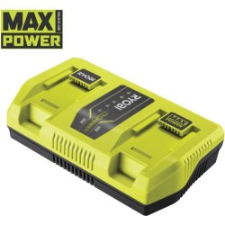 RYOBI - Chargeur 36V MAXPOWER 2 ports 6,0 A - RY36C2PA