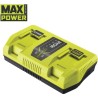 RYOBI - Chargeur 36V MAXPOWER 2 ports 6,0 A - RY36C2PA