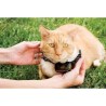 PetSafe - Clôture Anti-Fugue Deluxe avec Collier spécial Chat - Étanche - 4 N...