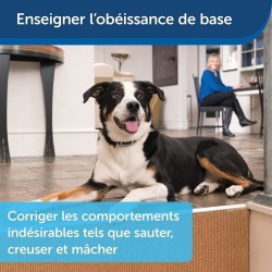 Collier de Dressage pour 2 Chiens - PetSafe - Portée 600m - Rechargeable - Ét...